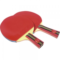 Double Fish Lower Price Ping Pong Racket